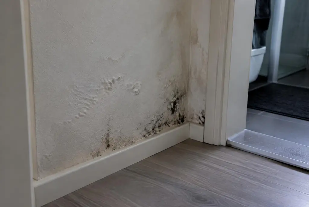 Lekdetectie Westervoort – vochtplek met schimmel op een muur